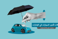 أرخص شركات تأمين السيارات في الإمارات
